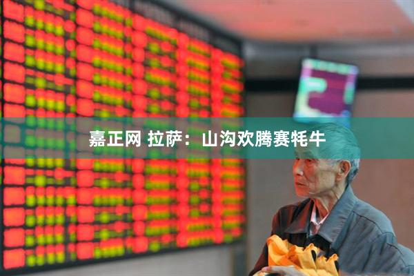嘉正网 拉萨：山沟欢腾赛牦牛
