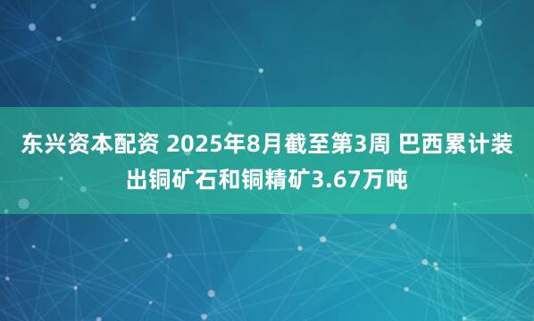 东兴资本配资 2025年8月截至第3周 巴西累计装出铜矿石和铜精矿3.67万吨