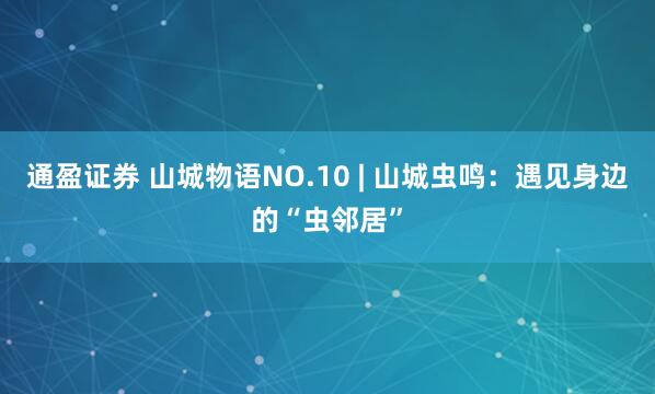 通盈证券 山城物语NO.10 | 山城虫鸣：遇见身边的“虫邻居”