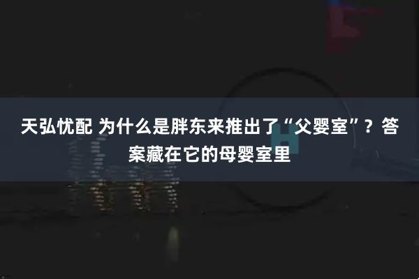天弘忧配 为什么是胖东来推出了“父婴室”？答案藏在它的母婴室里