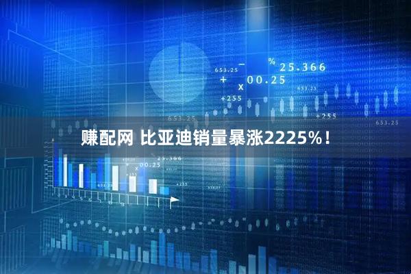 赚配网 比亚迪销量暴涨2225%！