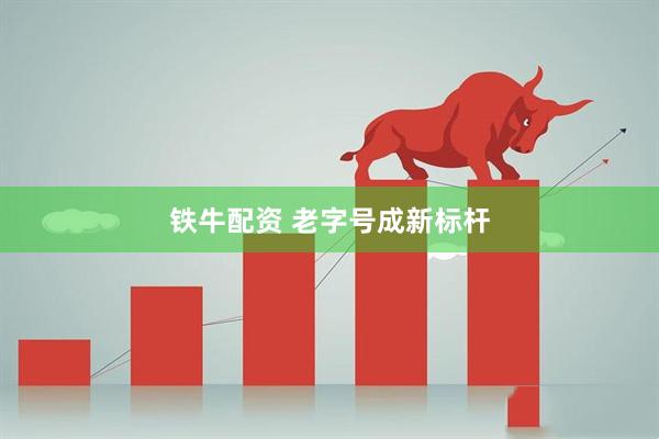 铁牛配资 老字号成新标杆