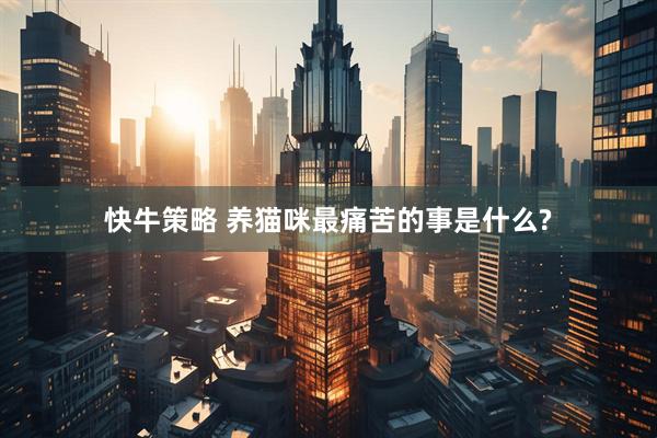 快牛策略 养猫咪最痛苦的事是什么?