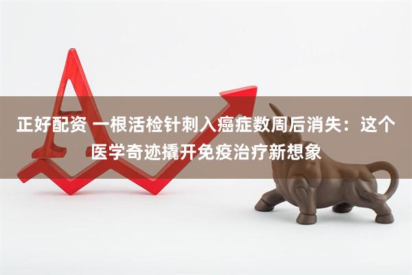 正好配资 一根活检针刺入癌症数周后消失：这个医学奇迹撬开免疫治疗新想象